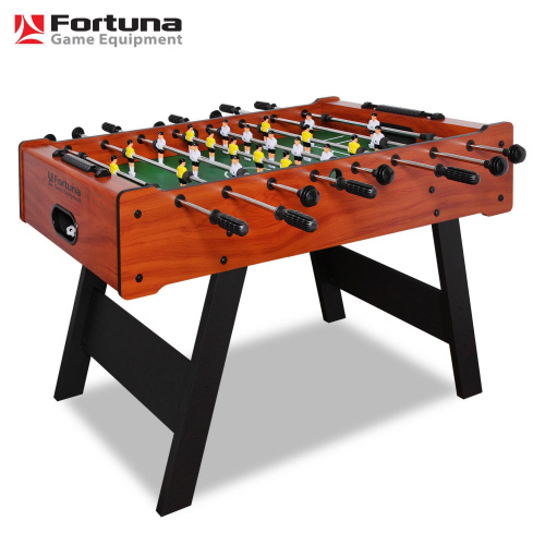 ���������� ������ (�����) Fortuna Azteka FDB-420